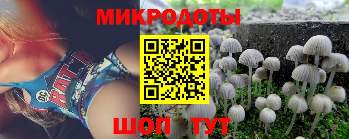 Галлюциногенные грибы Magic Shrooms Санкт-Петербург